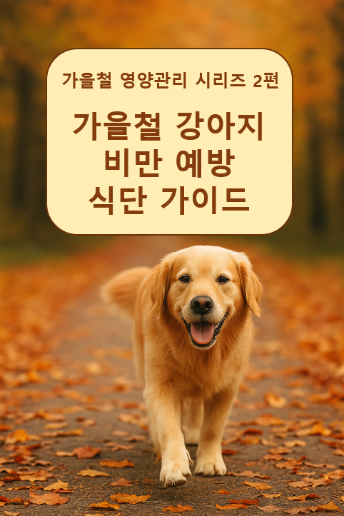 가을철 강아지 비만 예방 식단 가이드 이미지