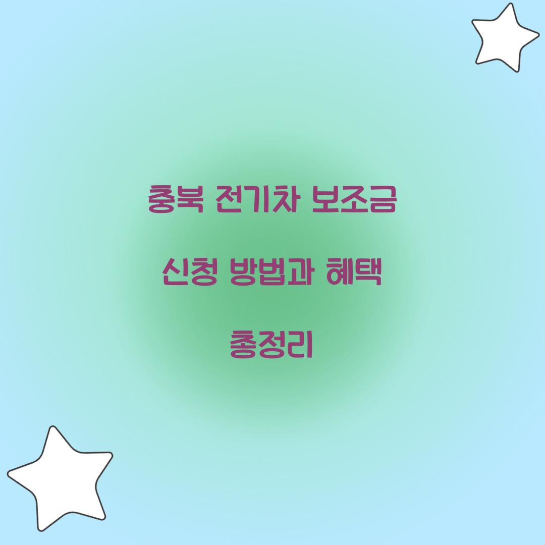 충북 전기차 보조금