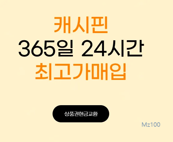 캐시핀 살펴보기 4