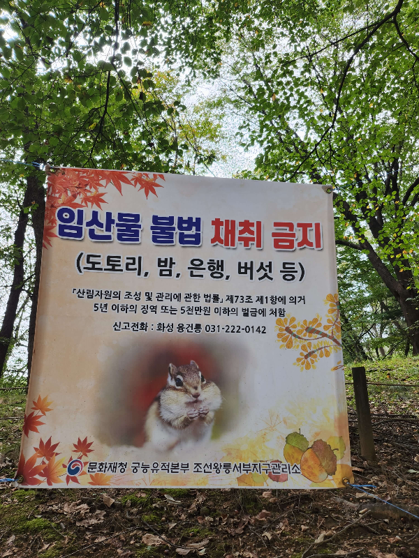 융건릉주차입장안내