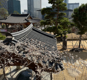 부처님오신날유명사찰