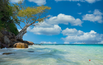 입하(立夏) – 여름이 시작되는 절기