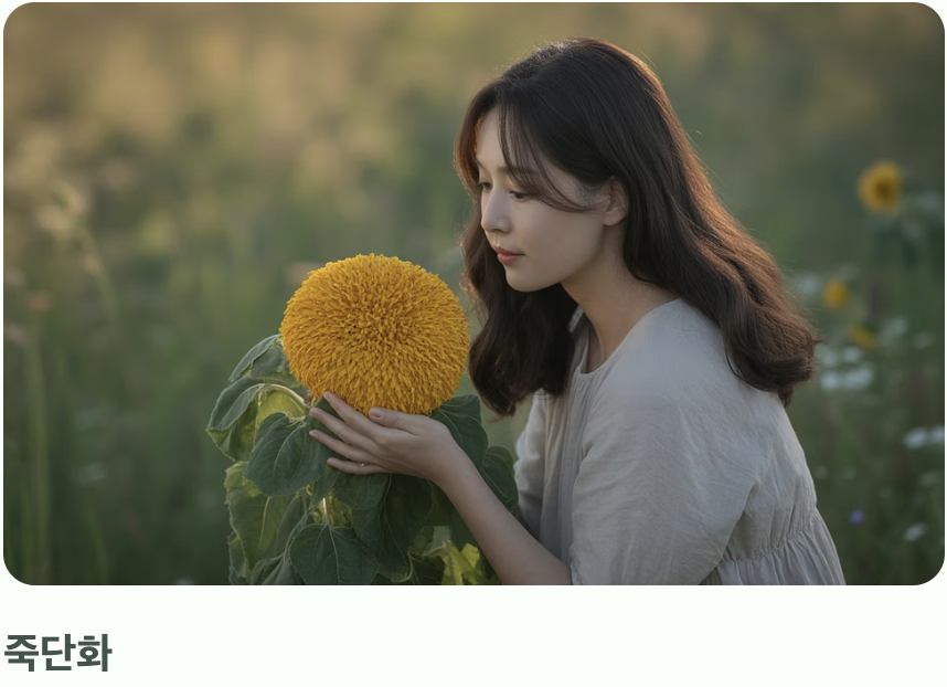 가장 큰 차이점, '꽃잎'의 개수를 세어보세요