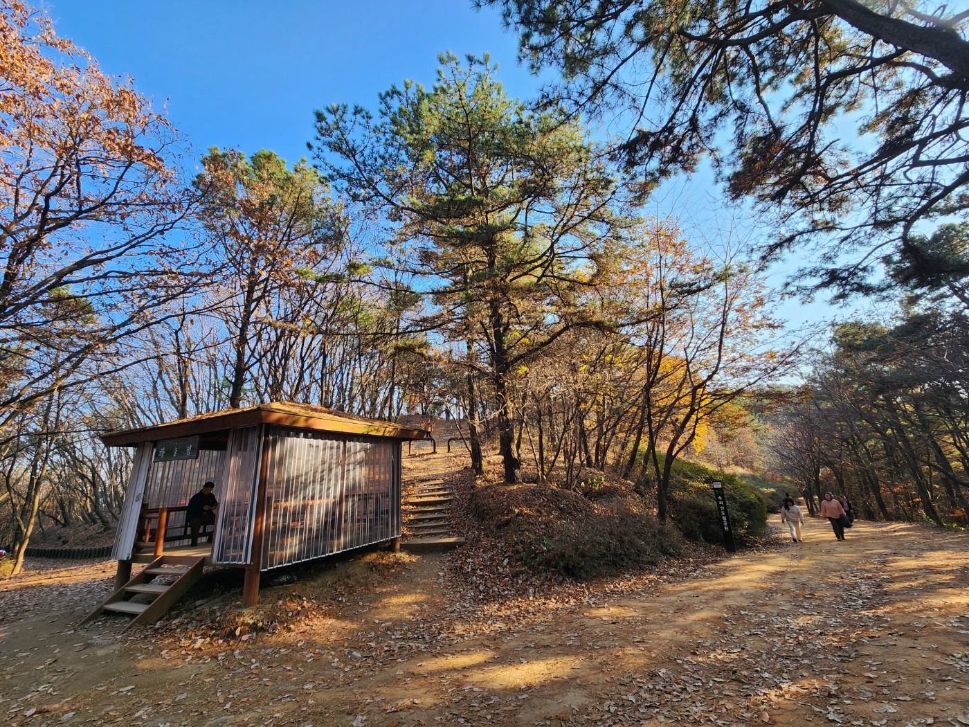 수리산-임도오거리-정자-여러갈래길