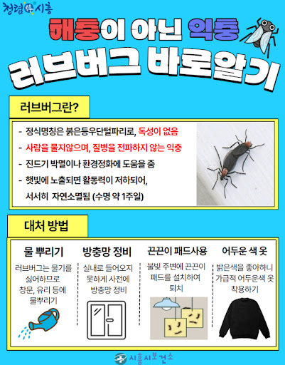 러브 버그 익충
