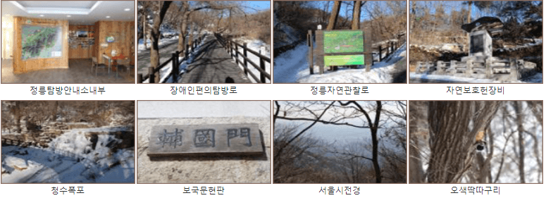 볼거리