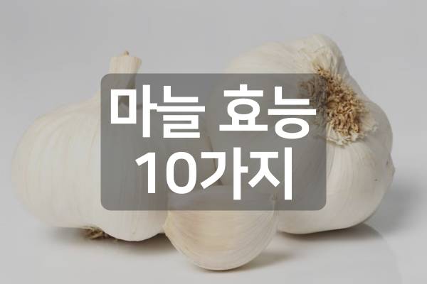 마늘-효능-10가지