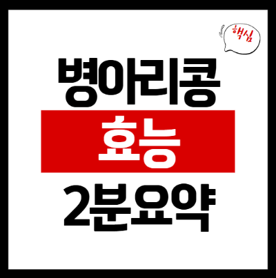 병아리콩 효능
