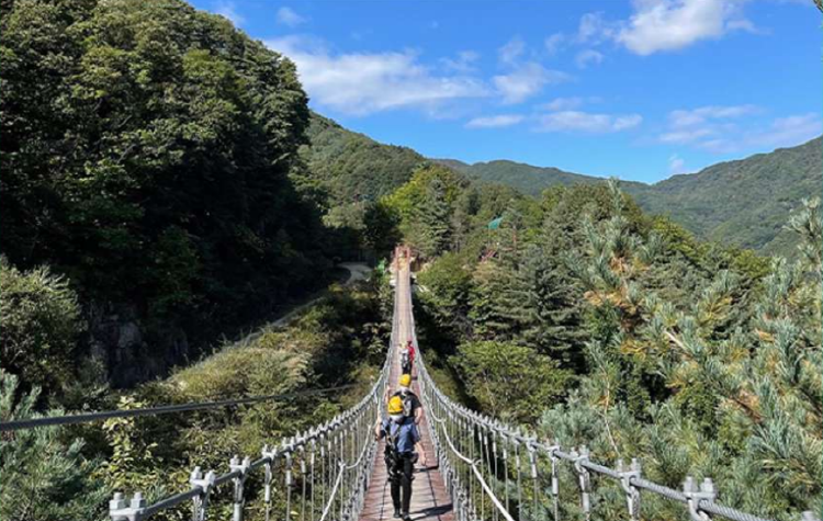 가평 브릿지 짚라인