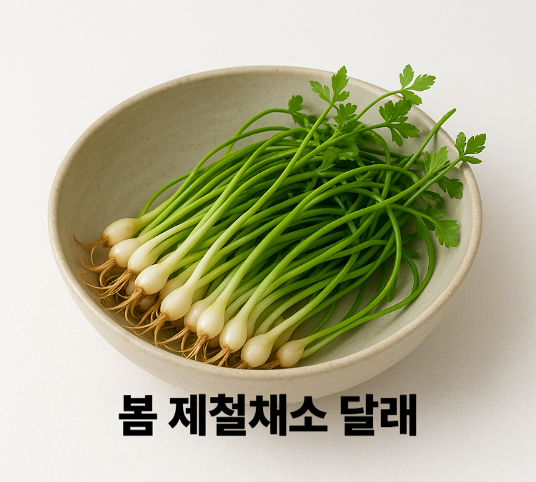 혈압조절에 도움을 주는 봄철 달래 효능 영양성분 보관법