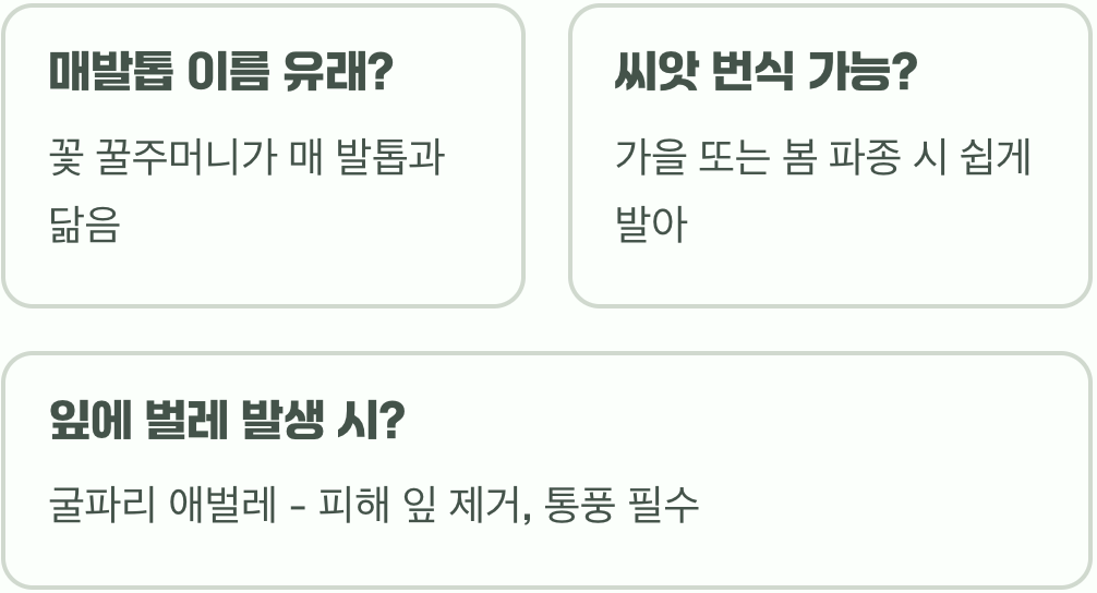 하늘을 나는 새, 매발톱꽃 키우기 A to Z