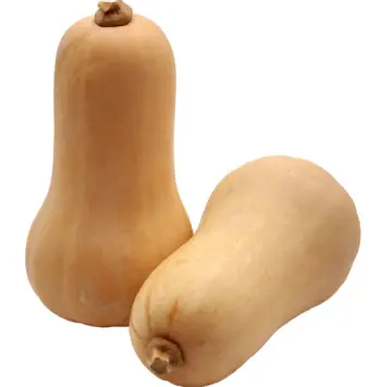 가을 제철 음식 늙은 호박 효능 및 영양성분