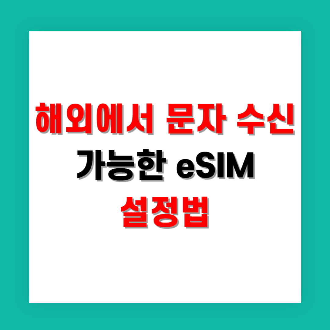 해외에서도 문자 수신 가능한 eSIM 설정법