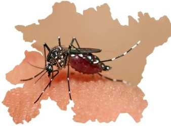 뎅기열 증상 8가지 예방접종 및 방글라데시 방문 한국인 뎅기열 사망 소식