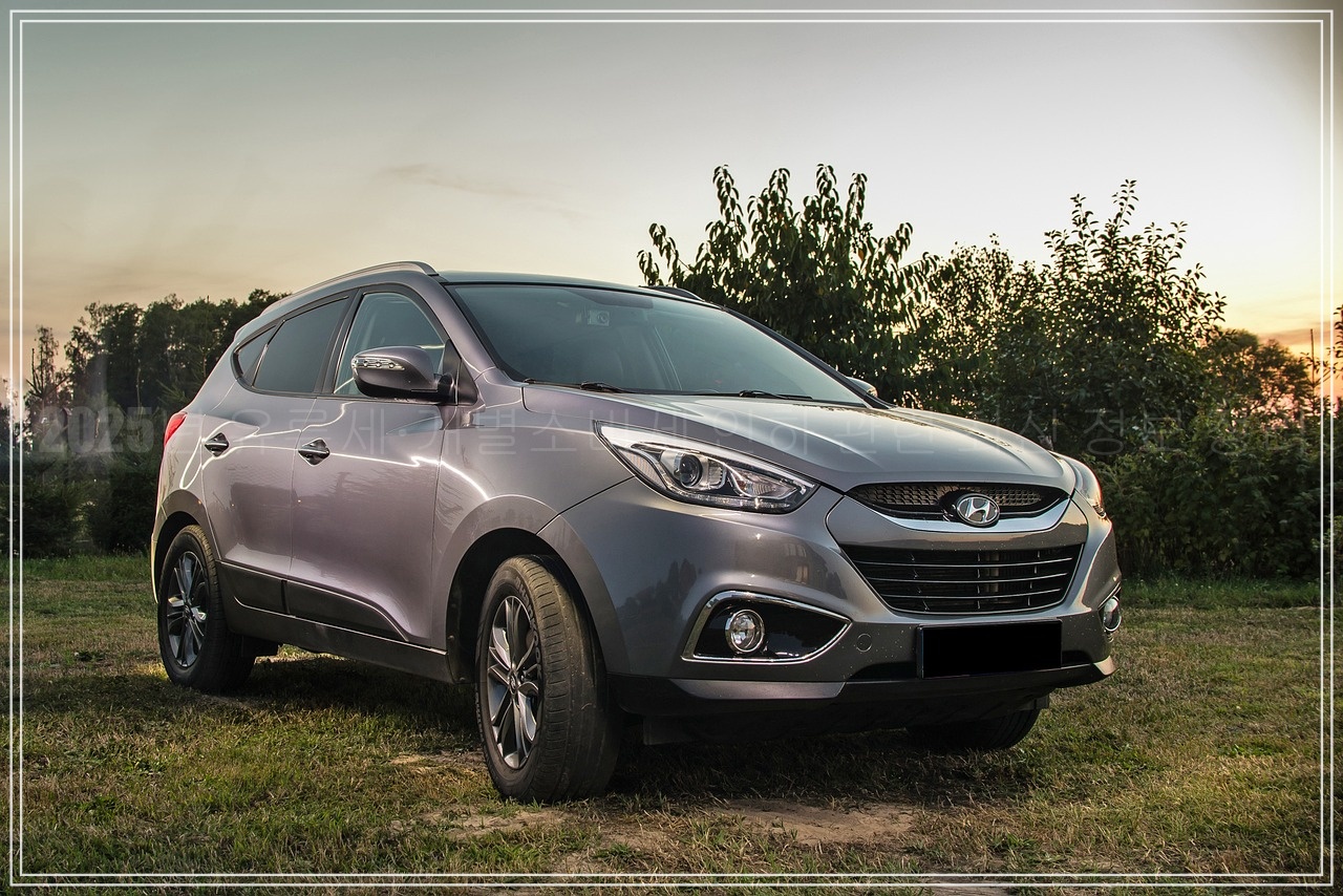 2025년 개별소비세 인하 적용 품목, 자동차 적용 대상 품목 총정리