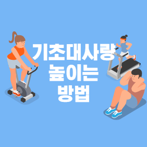 기초대사량 높이는 방법