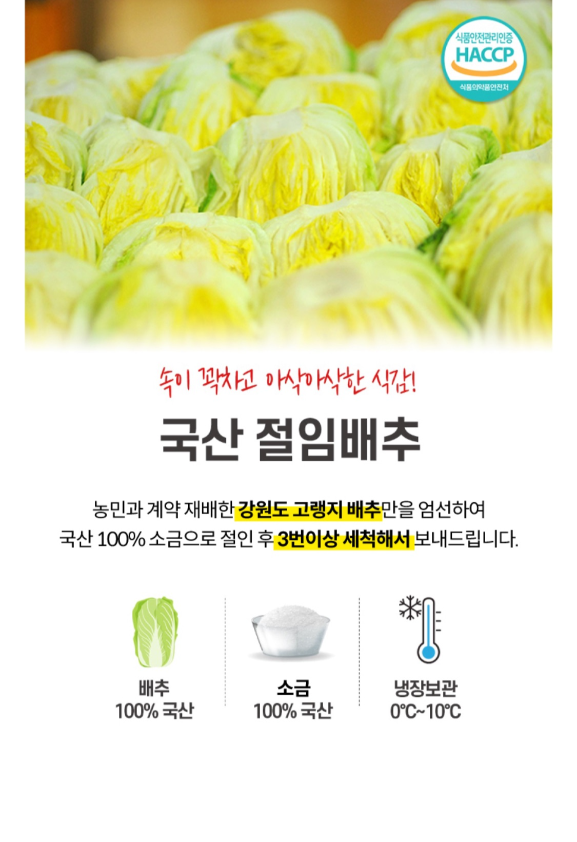 절임배추