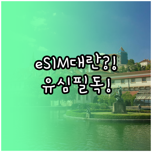 알뜰폰 eSIM 지원 기기와 유심 호..