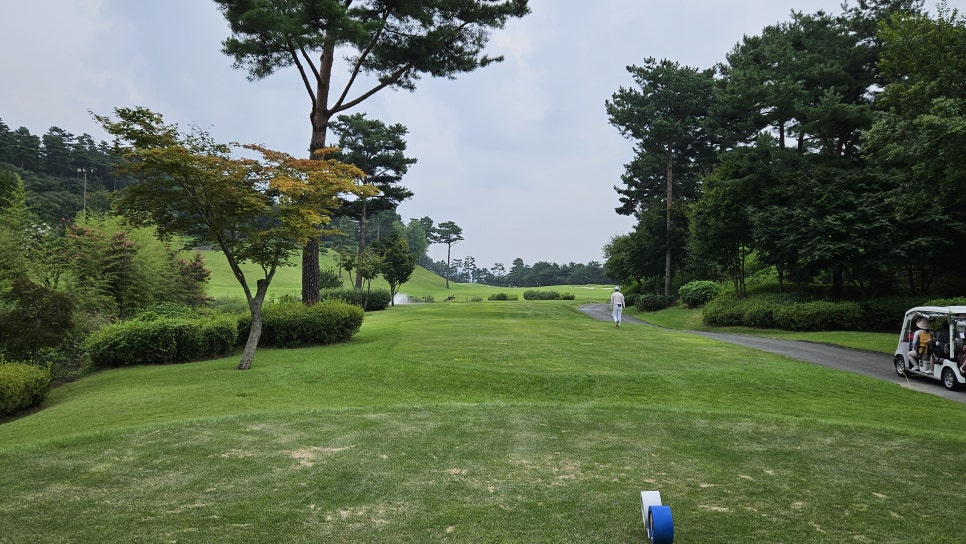 골프장 경험담 여주 세라지오CC 자연 속에서 즐기는 프리미엄 퍼블릭 골프장의 품격