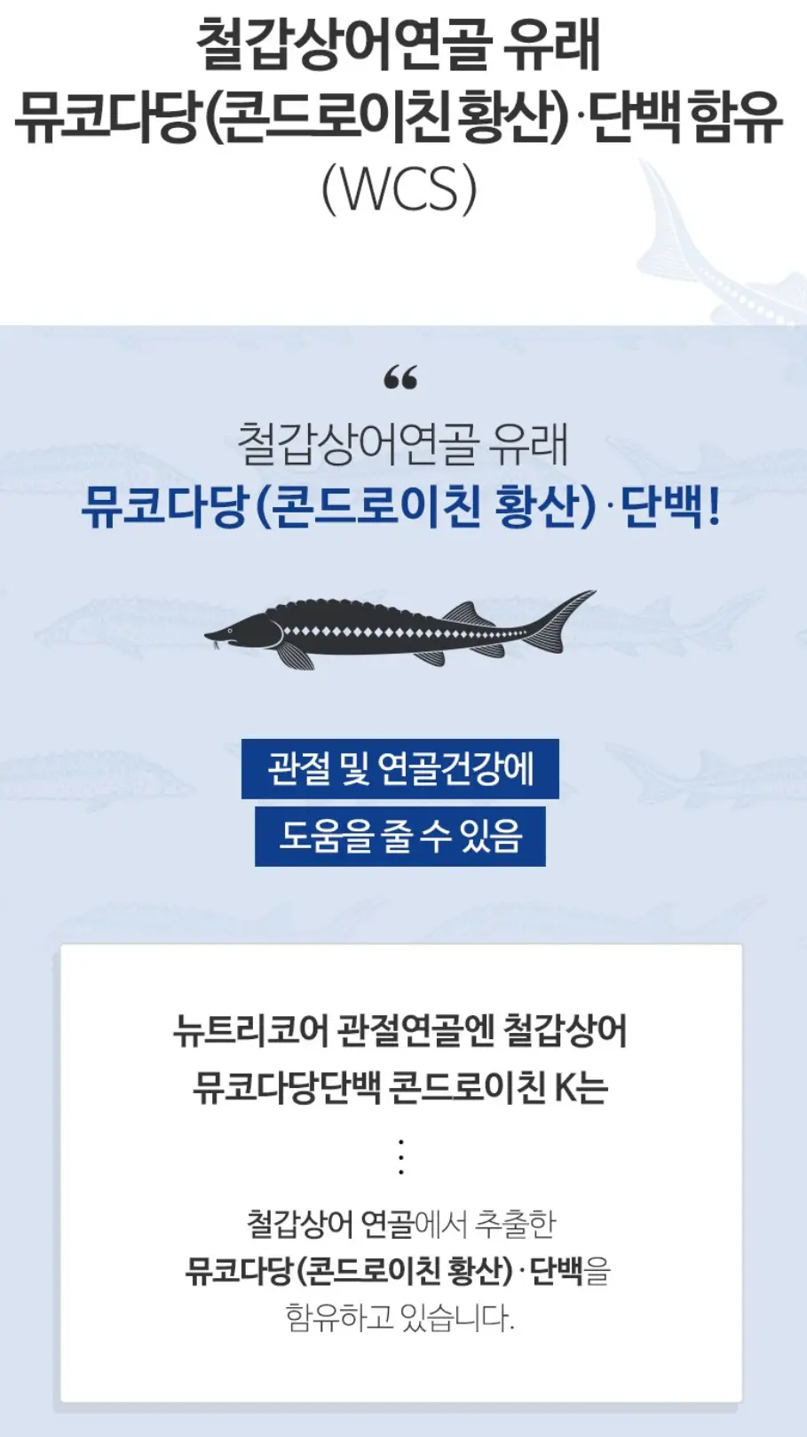 사진18
