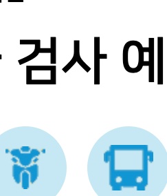 자동차검사조회