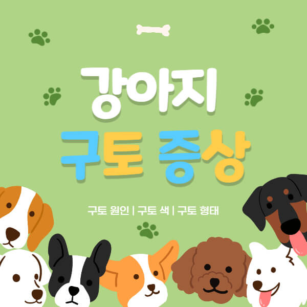 강아지_구토