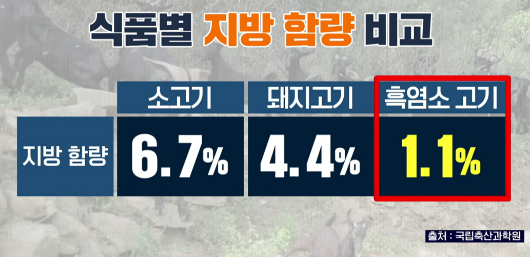 흑염소 진액 효능