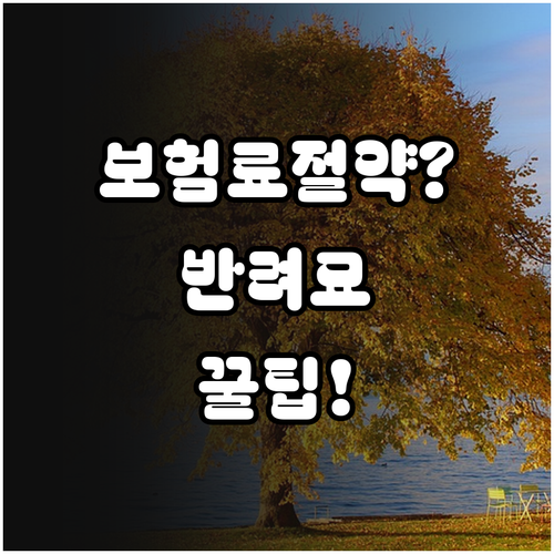 반려묘 보험 가입 꿀팁 보험료 절약과..