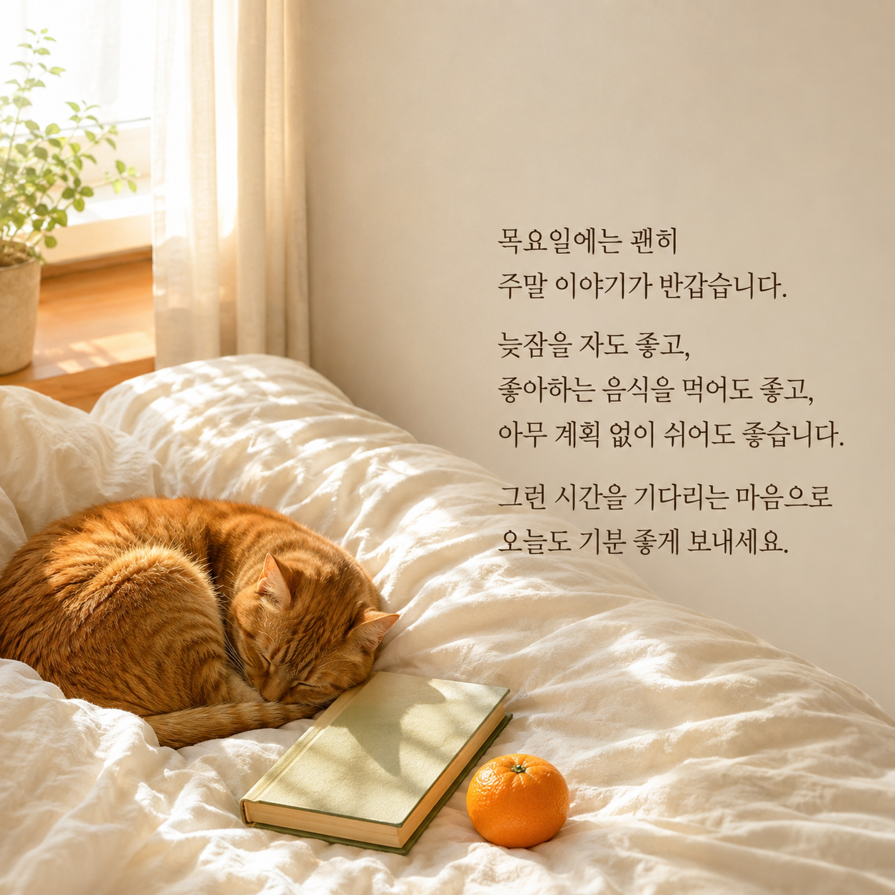 주말의 편안한 시간을 기다리며 기분 좋게 보내라는 목요일 이미지