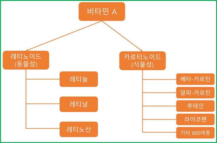 레티놀