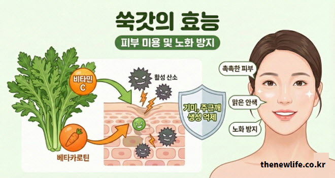 쑥갓의 효능 피부 미용 및 노화 방지 (비타민C와 베타카로틴의 기미 주근깨 제거 및 활성산소 억제)