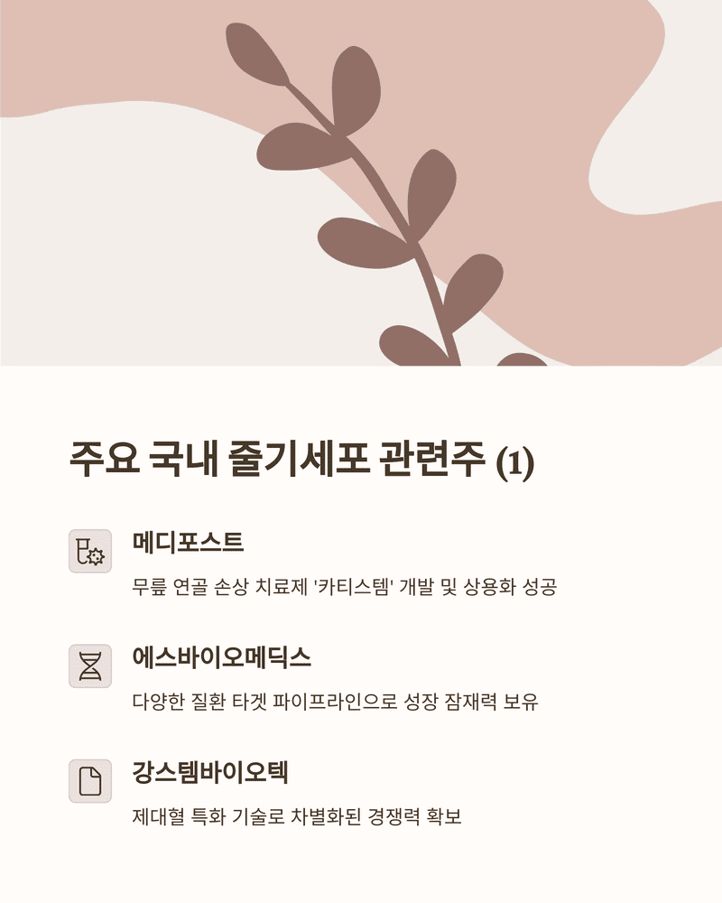 줄기세포 관련주 및 시장 현황