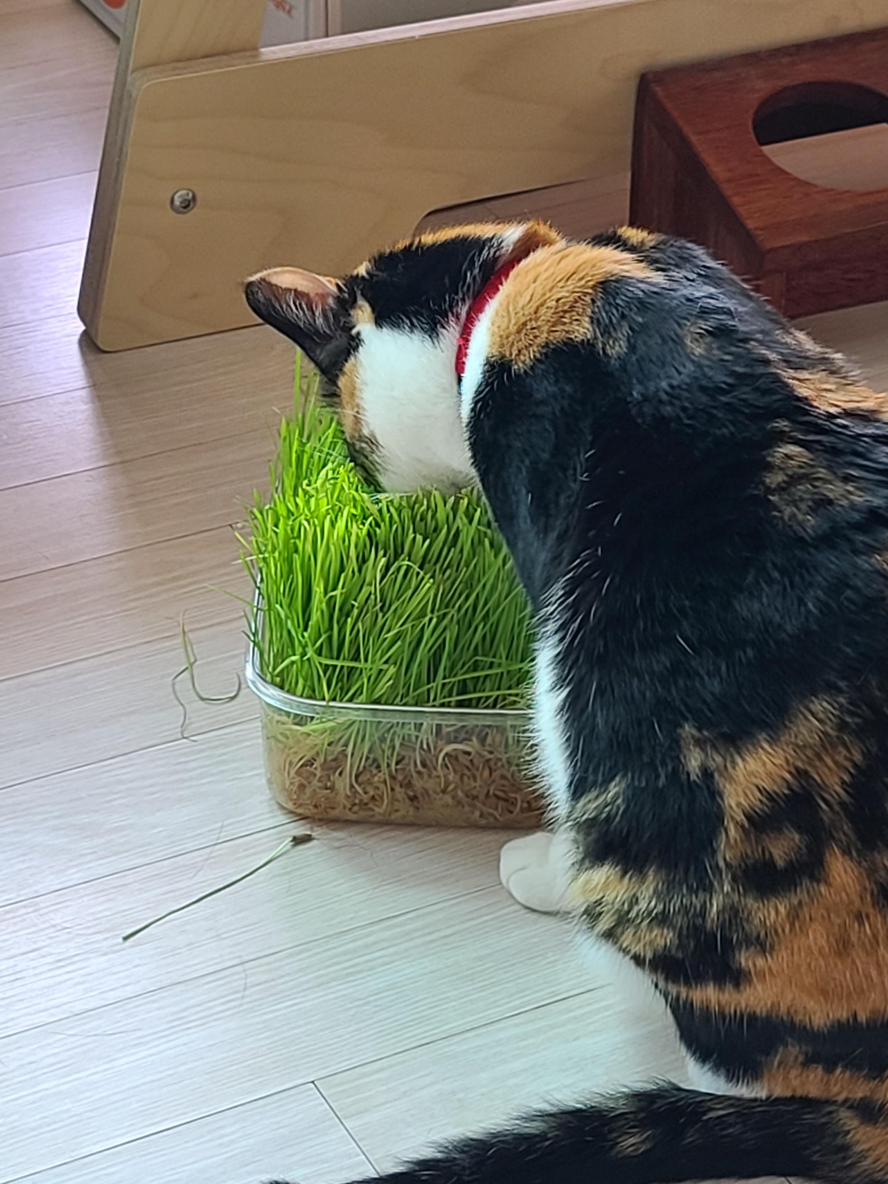 까칠함 뒤의 다양한 다다 모습들.