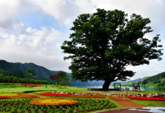 화천 가볼만한곳 베스트10 현지인 추천 필수코스_36