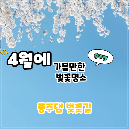 4월에 가볼만한 벚꽃명소 충주땜 벚꽃길