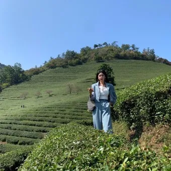 보성 가볼만한곳 베스트10 현지인 추천 필수코스_18