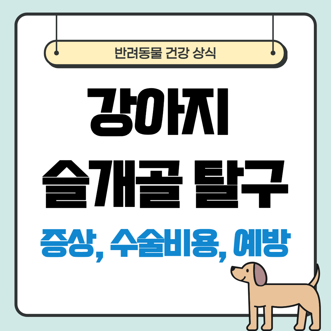 강아지 슬개골 탈구 증상&#44; 수술비용&#44; 예방