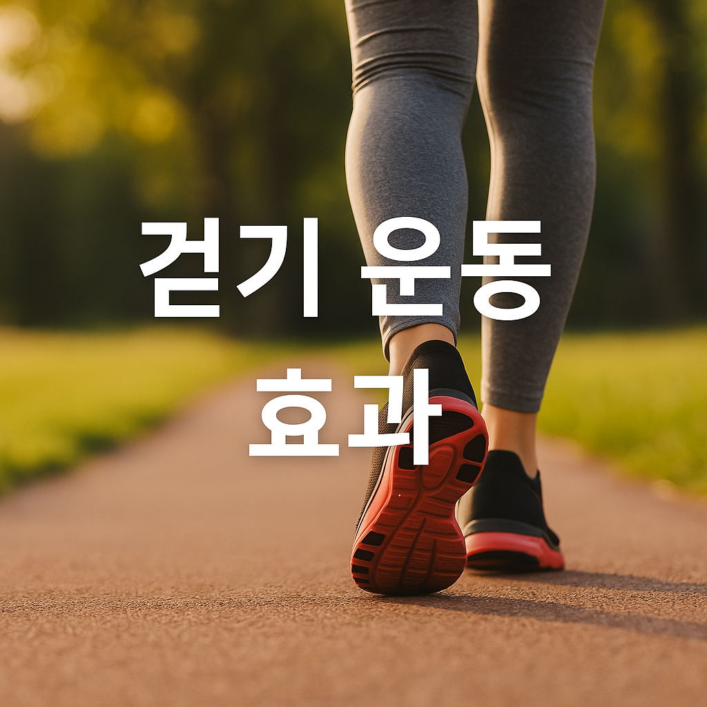 걷기 운동 효과