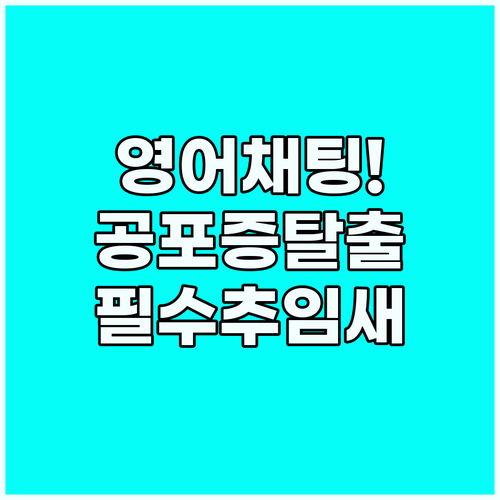 영어 채팅 공포증 극복하는 빠른 반응..