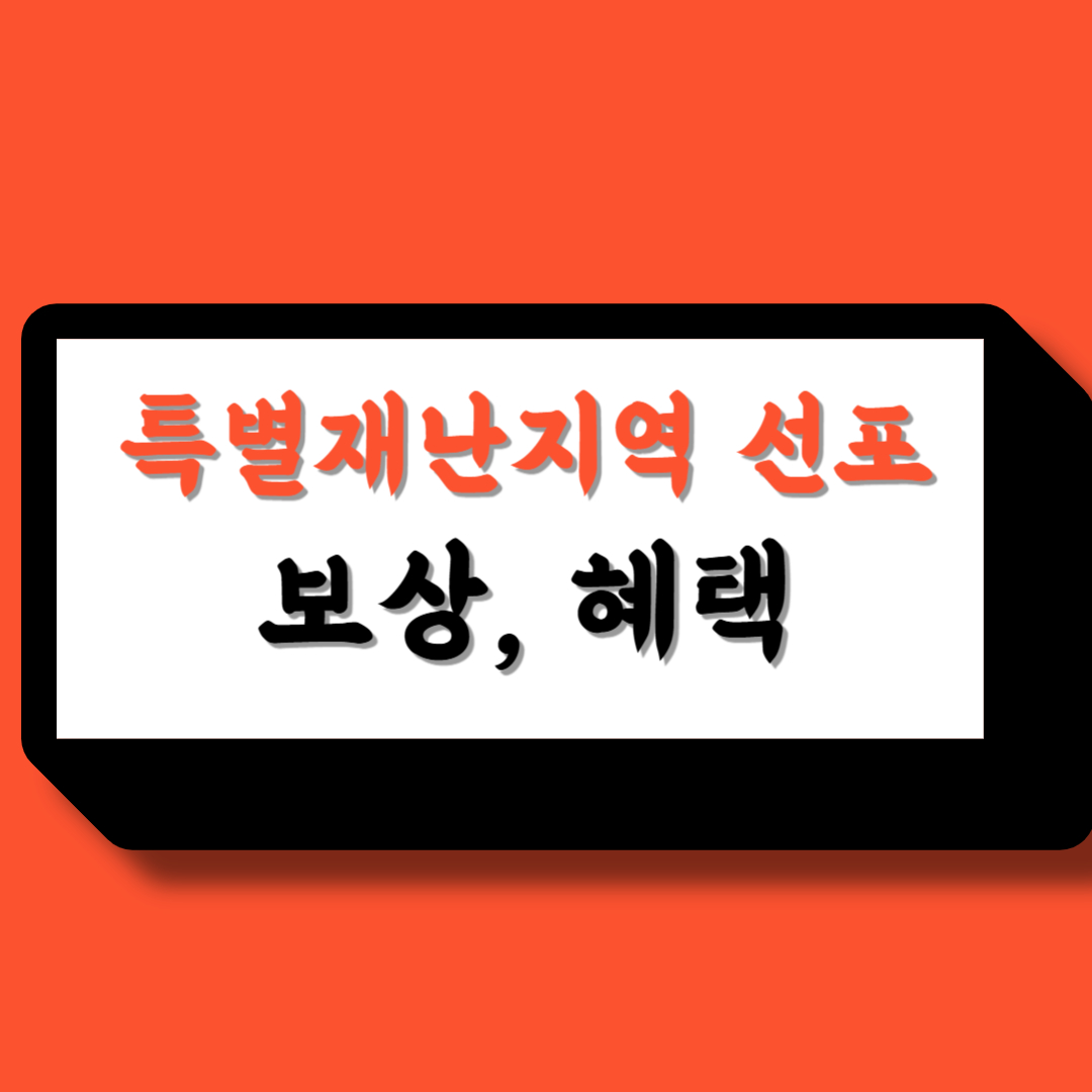 특별재난지역선포