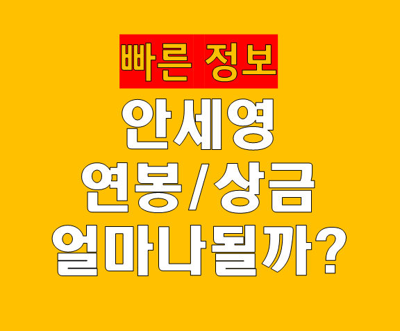 안세영 연봉 상금 총정리