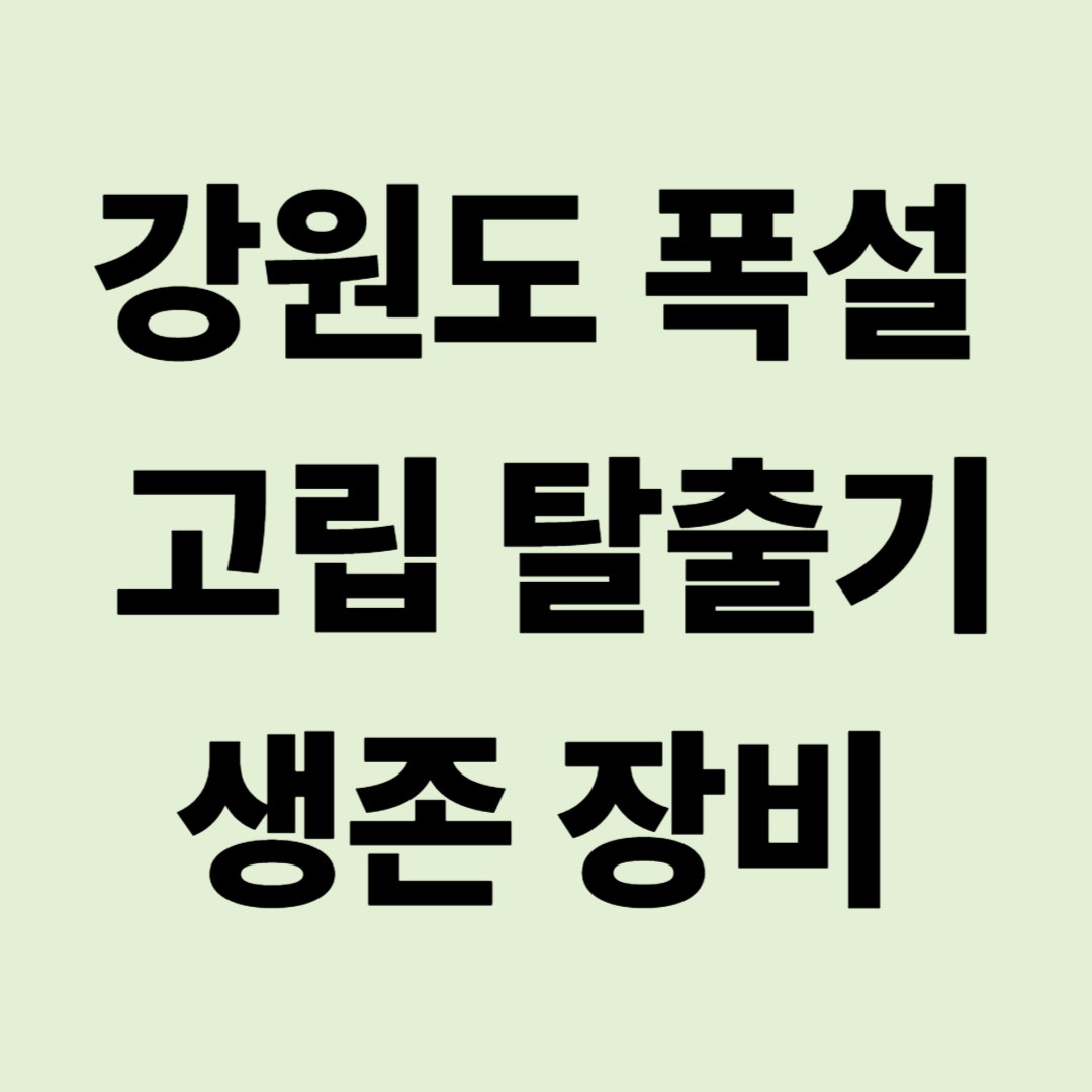"낭만이 공포로 바뀌는 순간" 강원도 폭설 고립 탈출기와 생존 장비
