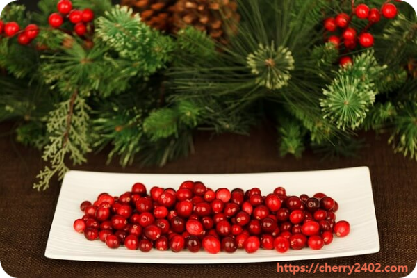 크렌베리 효능과 부작용 주의사항