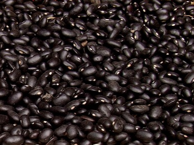 검은콩 오래 보관하는 방법