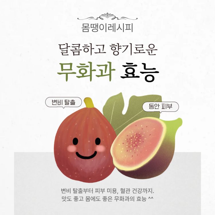 무화과의 효능