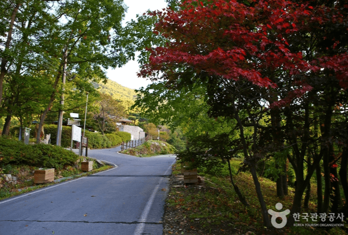 국립 오서산 자연휴양림