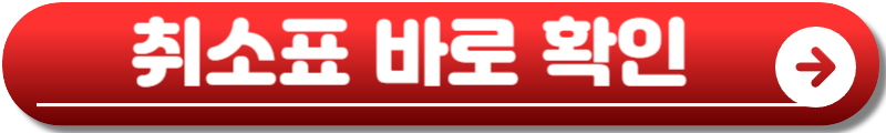 아이묭 내한