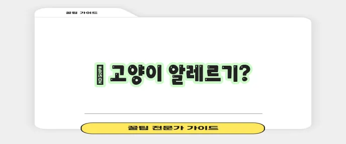 고양이 털 알레르기 증상 고양이 애호가라면 꼭 알아야 합니다