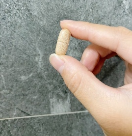 콜레스컷 부스터
