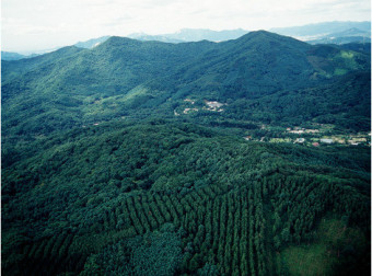 2025 임업공익직접지불금